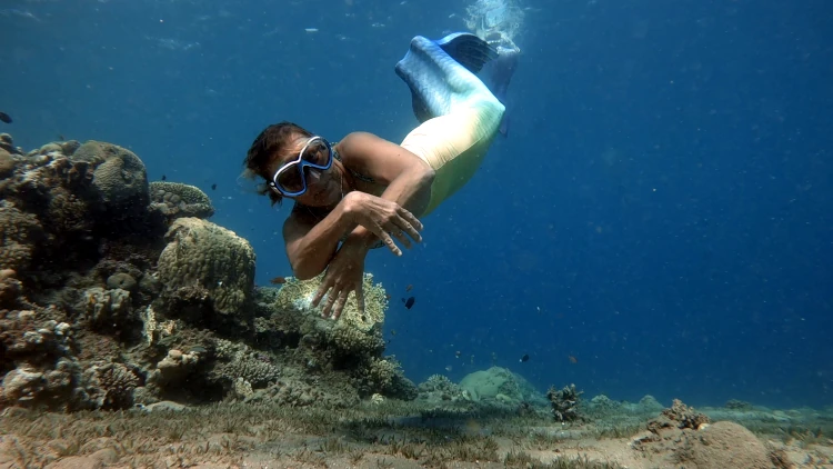 Junior Open water Diver